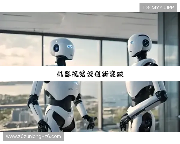 探索尊龙凯时官网网页版的丰富游戏选择与精彩活动信息