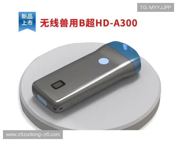 尊龙凯时官方平台如何保障玩家资金安全与个人信息保护措施解析 尊龙凯时官方平台如何保障玩家资金安全与个人信息保护措施解析