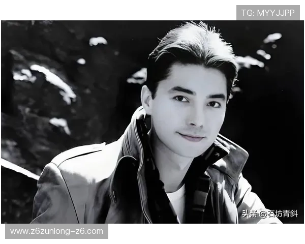 尊龙平台怎么样全面分析其安全性和用户体验的真实评价