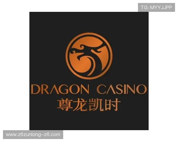 详细解析ag尊龙凯时平台的安全性与用户保护措施