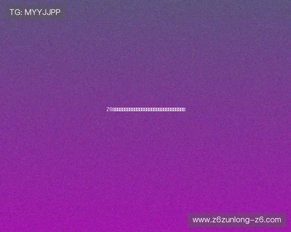 Z6用现最新版本中新增的功能和玩法介绍助你掌握核心技巧提升战斗力